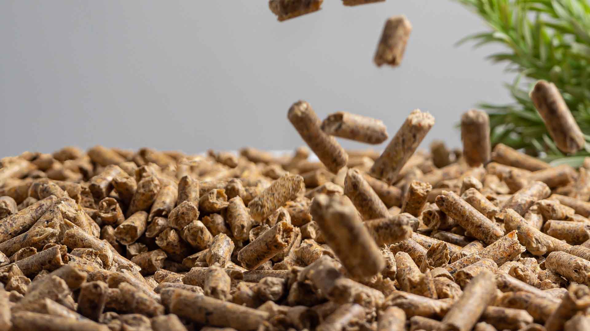 pellet_autunno_inverno